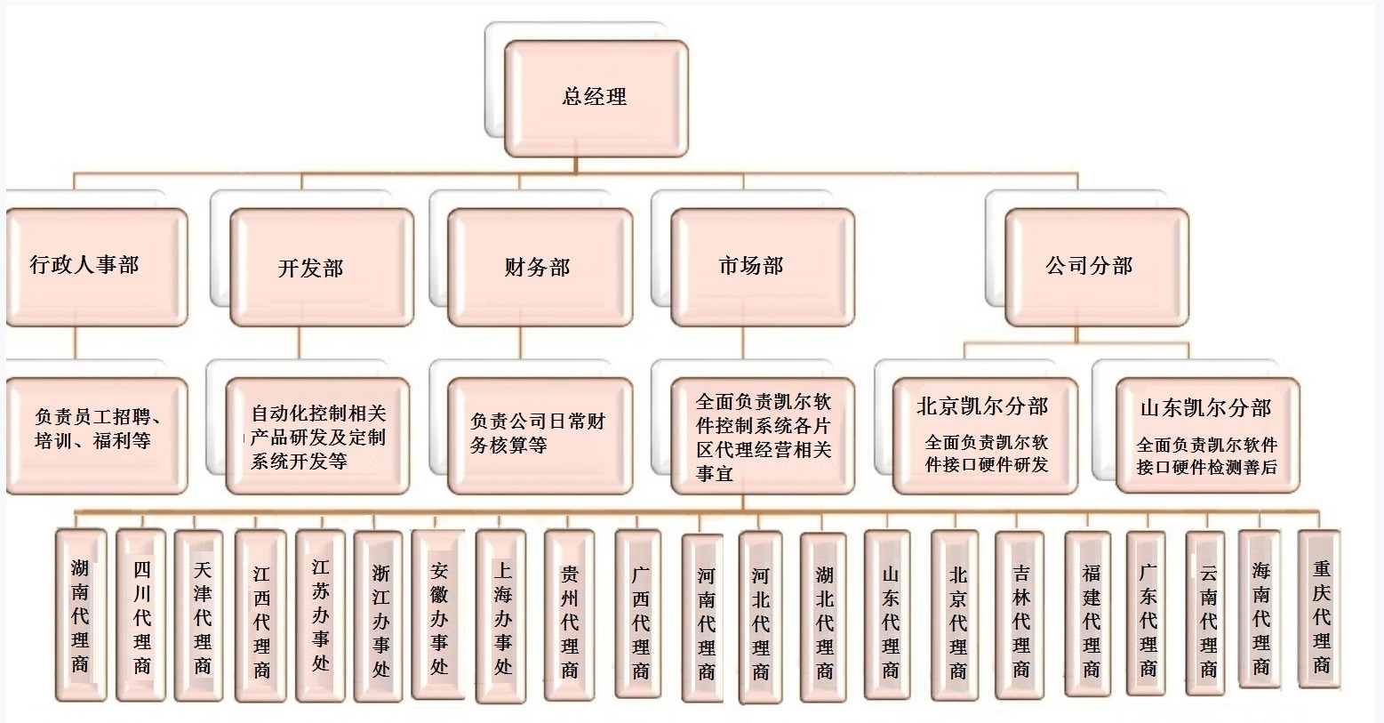 公司结构大图.jpg